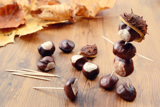 to tinker handmade figures of chestnuts and glue
