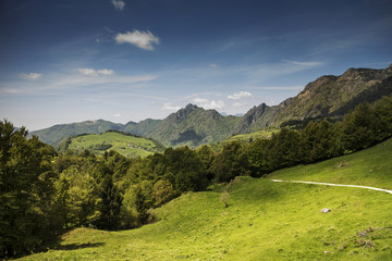 Fototapeta na wymiar Plateau di Rest in the Italalian Alps
