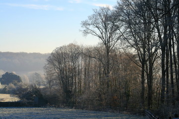 Campagne en hiver