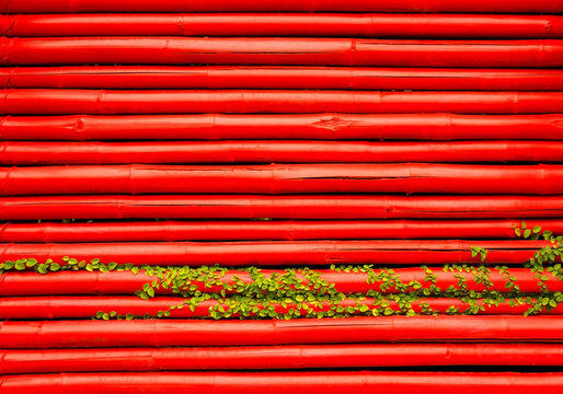 leaf on red bamboo background