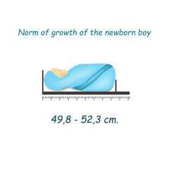 Standards lengths of a newborn boy. Infographics. Vector illustration on isolated background