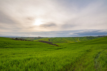 Obraz premium Cloudy day in Tuscany