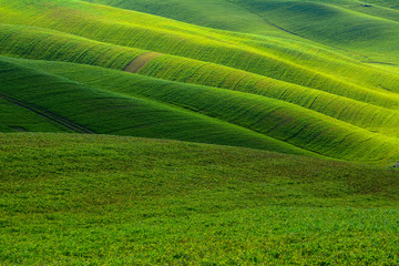 Typical tuscany green hill in the Crete Senesi near Siena