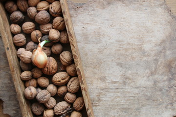 food background, fresh walnuts in a wooden box