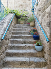 Stone stairs with flowers