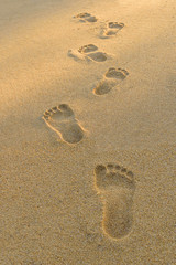 Fototapeta na wymiar Footprints on the beach at sunset. Selcetive focus