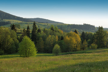 rural landscape in Gorce Mountains, Poland