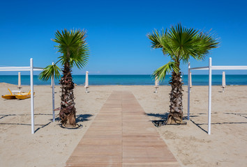 spiaggia con palme e passerella di legno