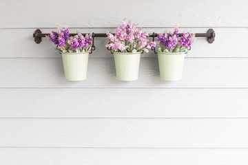 Small pot flower on board wooden wall.