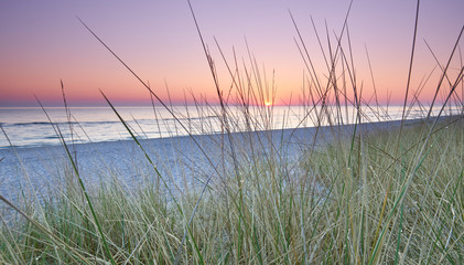 Fototapety  Trawa wydmowa na plaży nad Morzem Bałtyckim, wschód słońca nad morzem