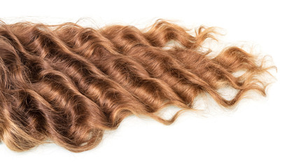 Brown curly hair isolated on white.