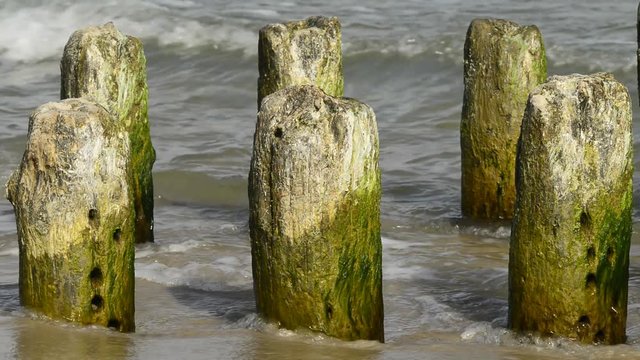 Buhnen am Ostseestrand in Polen