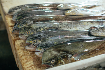seafood at the fish market.Fresh fishes in a market at Bali
