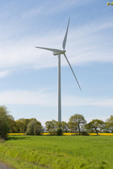 Obraz premium wind turbine in colza field