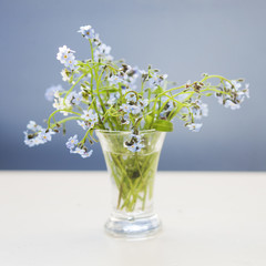 Forget-me-not blue flowers bouquetc