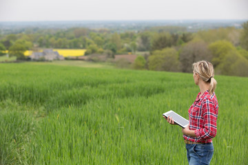 Female farmer analysing barly yield