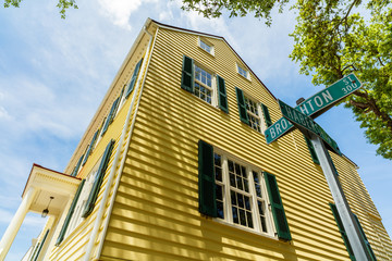 Historic Savannah cityscape