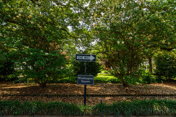 Washington Square Savannah