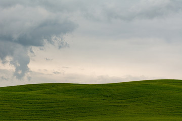 Fototapeta na wymiar Tuscany hill in Val d'Orcia on a cloudy day
