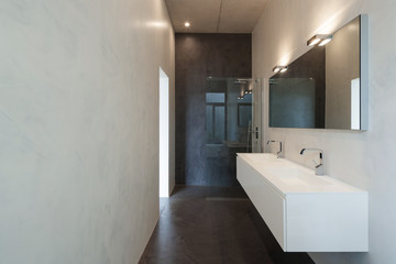 Interior, bathroom with sink and shower