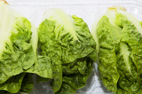 lettuce hearts