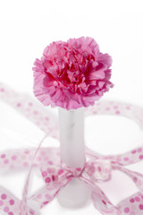 view of a pink flower tied in bow.