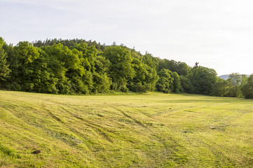 Beautiful scenery in the park.