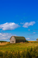rural landscape with a barn
