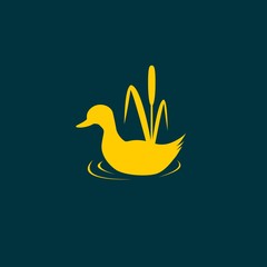 the figure shows the duck