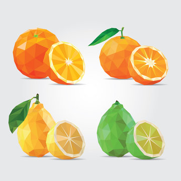 Polygonal Fruits. Citrus Fruits. Orange, Tangerine, Lemon and Lime in Vector