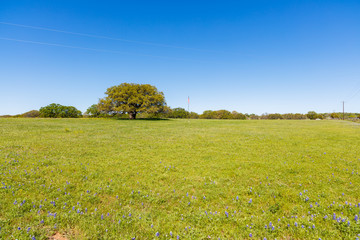 Texas Hill Country