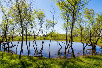 Texas Hill Country © Fotoluminate LLC