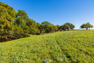 Texas Hill Country