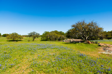 Texas Hill Country