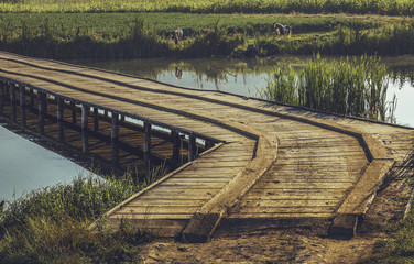 Peaceful summer landscape with old wooden footbridge across a pond in Transylvania region, Romania.