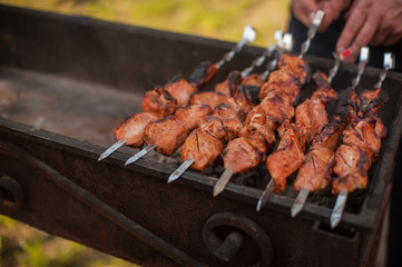 shashlik on a grill