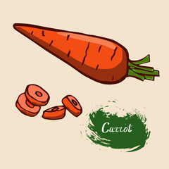drawn vector carrot with signature