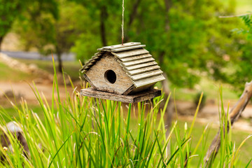 Cute wooden birdhouse