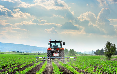 Tractor cultivating field at spring.