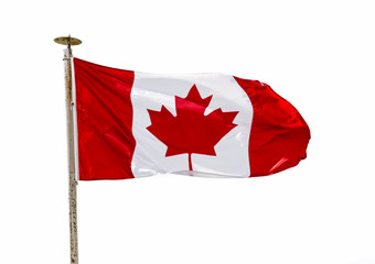Canadian Flag in the wind over white background (cutout)