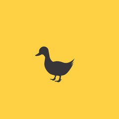 the figure shows the duck
