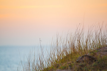 Grass with sunset in twilight time at the sea.