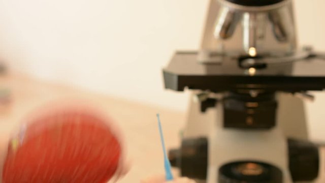 
00:02 | 00:19
1&times;

Laboratory doctor hands with sterile gloves using inoculation loop to isolate Escherichia coli bacteria from blood agar infected this bacteria. Medical laboratory concept