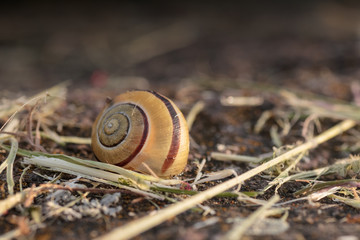 Schlafend.. | ..Sleeping