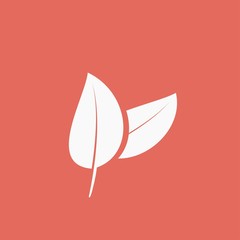 leaf vector icon