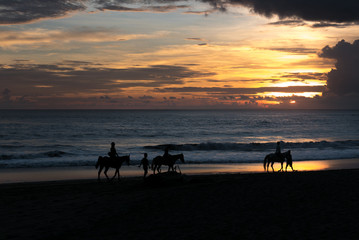 Fototapeta na wymiar silhouette of group of people having horse riding adventure on b