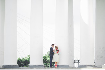 Beautiful couple, bride and groom posing near big white column