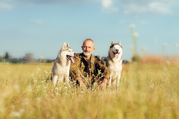 Old man with a beard sitting on a haystack with their dogs, enjoying summer sunset. Siberian Husky in the countryside. Harmony between man and nature. Hunter with dogs in the field.