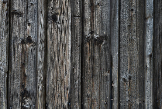 Wood texture