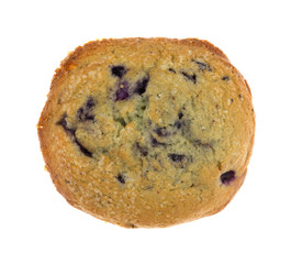 Freshly baked blueberry muffin top isolated on a white background